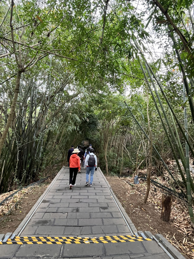Exploring Huangguoshu Waterfall Scenic Area