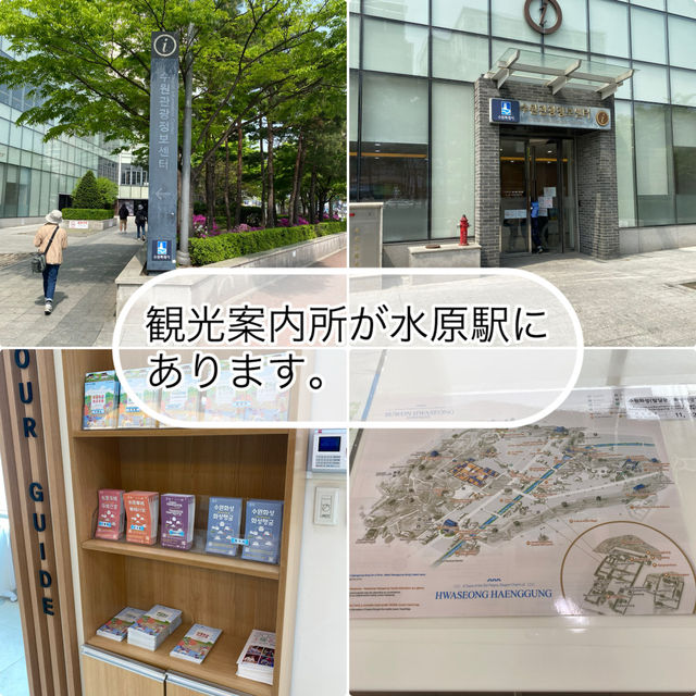 【水原🇰🇷 水原華城】世界遺産☺️ずっと行きたかった水原へ