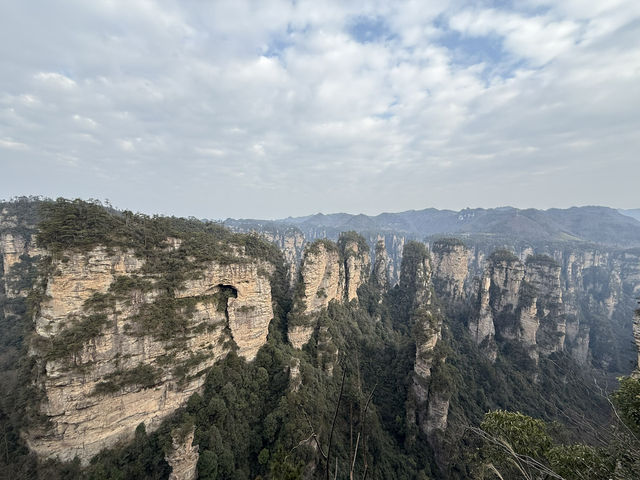 張家界看仙境奇峰