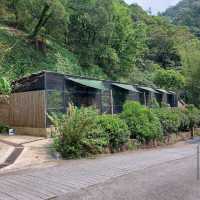 嘉道理農場暨植物園（Kadoorie Farm and Botanic Garden）