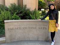 A Morning of Magic: Discovering the Palace of Fine Arts in Spring