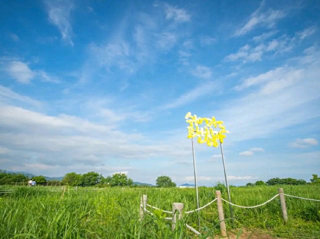Haneul Park: Seoul’s Eco Escape with Skyline Views