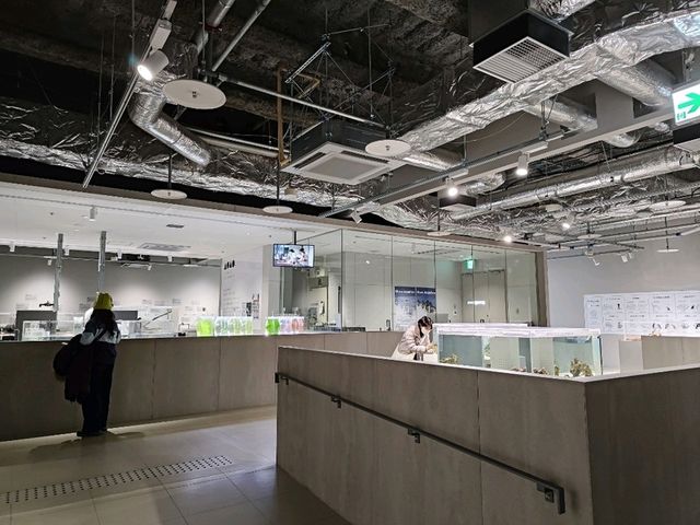 札幌景點｜2023年新開幕城市中的海洋世界~AOAO SAPPORO