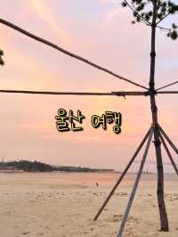 울산여행지 10군데를 알려드릴게요!🚗🐳🌸
