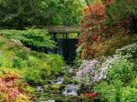 Bodnant Garden – A Glorious Day Among Blossoms and Sunlight