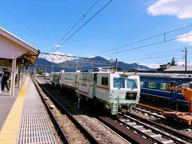 東京交通攻略：新宿至新倉間淺山公園🚆🌳