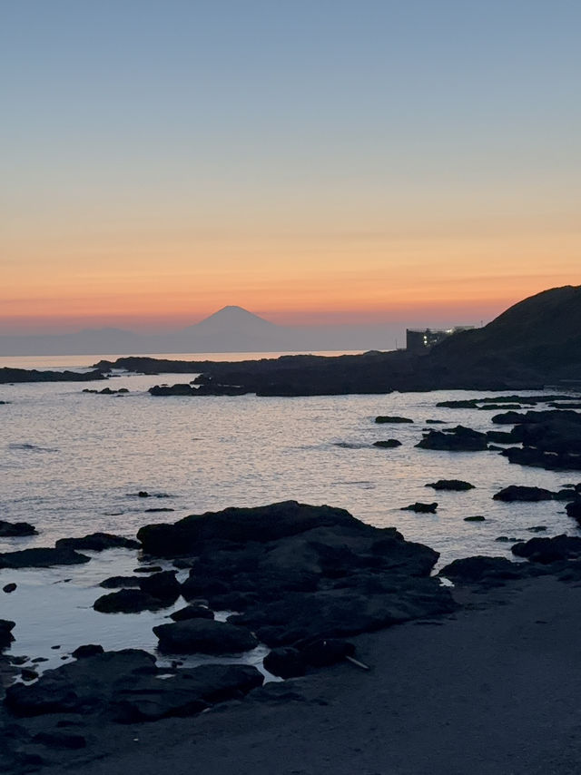 自然が創り出したアーチ「馬の背洞門」—城ヶ島の絶景スポット