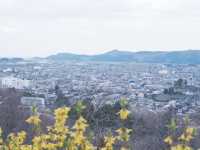 東京至東北攻略：船岡公園賞櫻