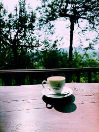 【紅茶好き必見☕️】  スリランカ・ヌワラエリヤで楽しむ、極上のティータイム巡り🍂☕️