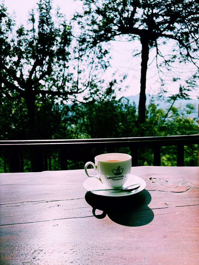 【紅茶好き必見☕️】  スリランカ・ヌワラエリヤで楽しむ、極上のティータイム巡り🍂☕️