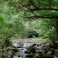 ~美麗綠野～南山風景區~  