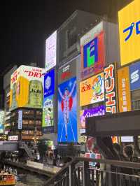 Fuji Views & Osaka Vibes. My October Wintery Japan Adventure