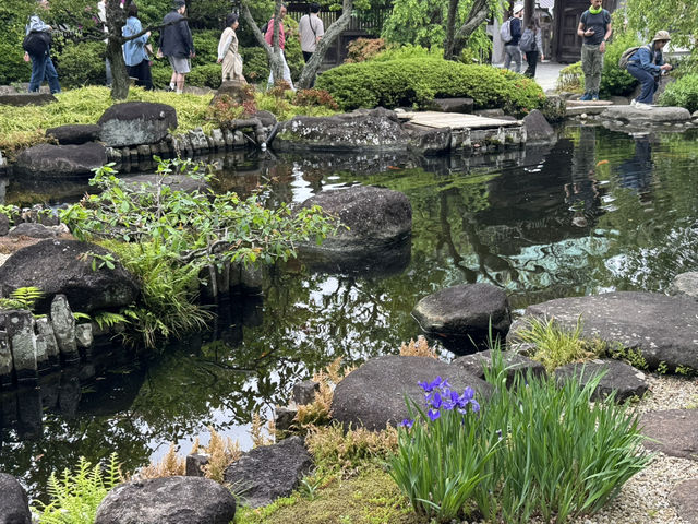 鎌倉旅行