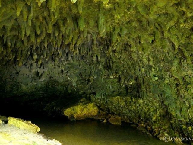 【沖縄本島】太古の人類が暮らした洞窟「ガンガラーの谷」