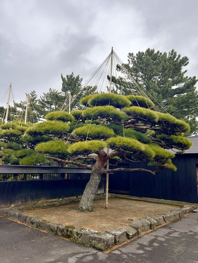 【山形酒田】山居倉庫✨