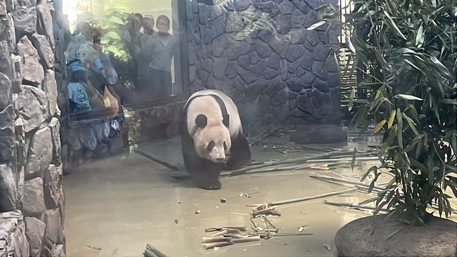 Dujiangyan Panda Valley  