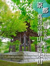 【行く前にこれ見て】名勝庭園を彩る翠の絨毯！心静かに新緑の美を味わう🌿✨※周辺観光情報付