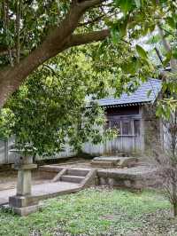 【千葉県】間近に航空機が見られる神社