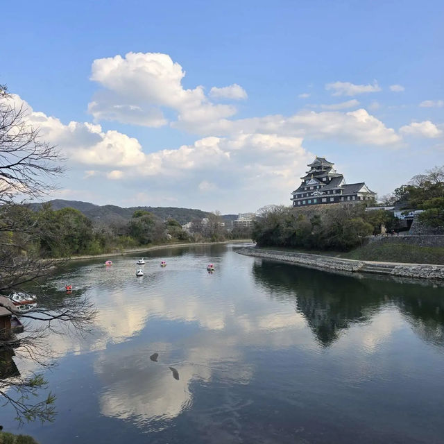 岡山城に行ってきました‼️