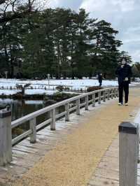 日本らしい厳かで凛とした雰囲気の歴史ある庭園🫶⛩