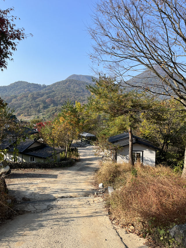 임실 필봉 문화촌에 다녀왔어요 분위기 감성 굿👍
