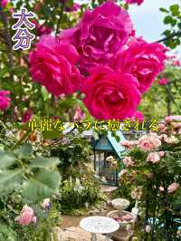【大分】大分の初夏の有名スポット！華麗なバラ園✨