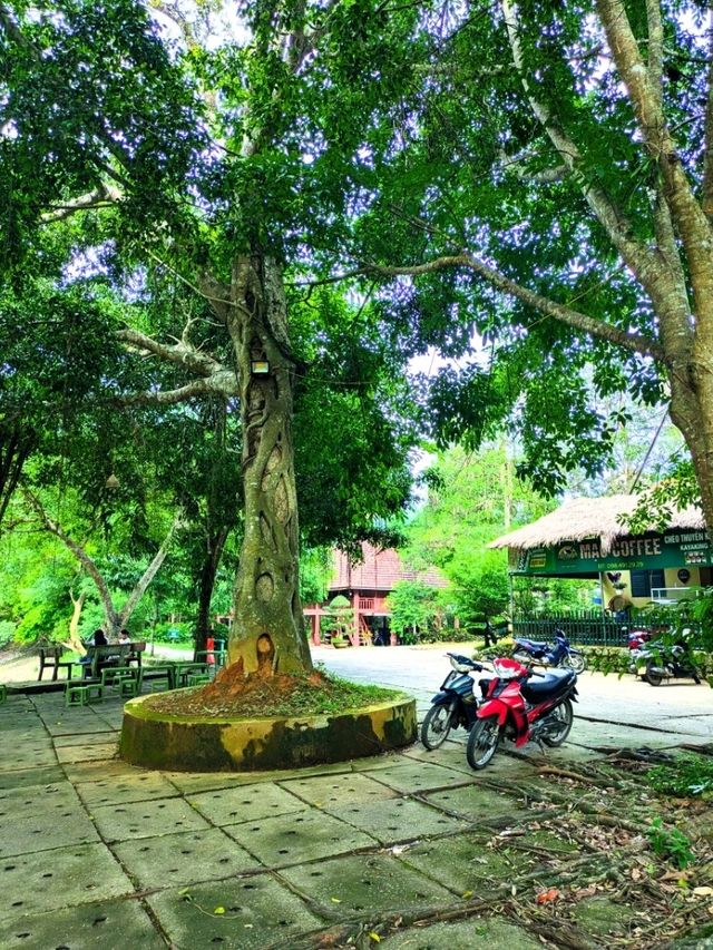 Butterfly Sanctuary Nestled in the North