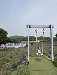 濟州島 Ecoland 生態主題樂園