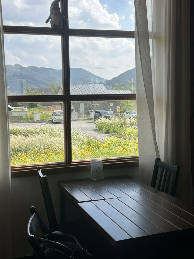 🏞️ 자연과 예술이 만나는 공간, 일상화카페