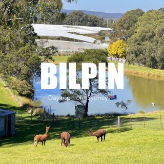 Sydney Surrounds | 1.5-Hour Drive to Bilpin for a Day Trip