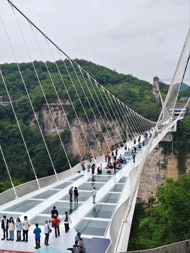 DIY Zhangjiajie travel ideas