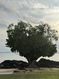 ที่พักดีมาก เกาะเสม็ด