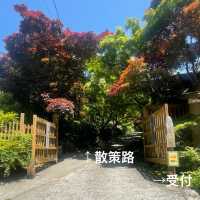 【佐賀】環境芸術の森　新緑一般公開！！森林浴でリフレッシュ💚