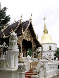 วัดป่าดาราภิรมย์ วัดสายป่าสวยสงบห้ามพลาด