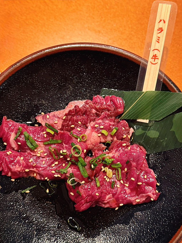 高山🇯🇵 有個套餐是 飛驒牛33種部位 一次上桌！