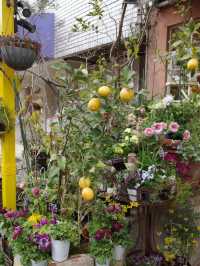 🌼【青山 COUNTRY HARVEST】草花の物語を感じる、大人の花屋さん体験🌿