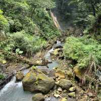 陽明山山豬湖山走走