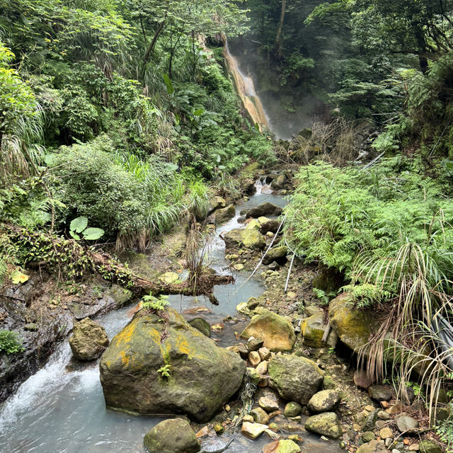 陽明山山豬湖山走走