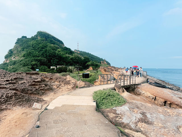 野柳地質公園初次探訪｜奇岩美景與酷熱考驗的一天｜寵物友善景點