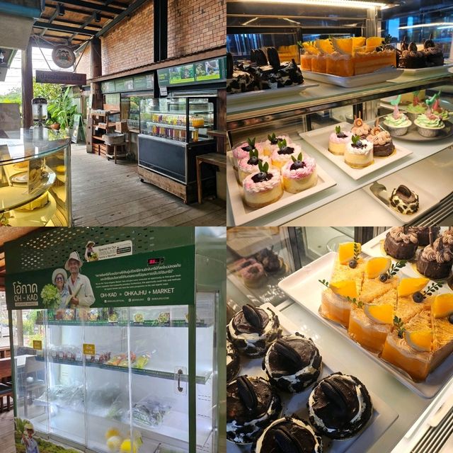🥬 สวนผัก โอ้กะจู๋ [สันทราย] ● เชียงใหม่ ●