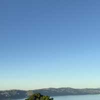 Wellington 1 Days Itinerary