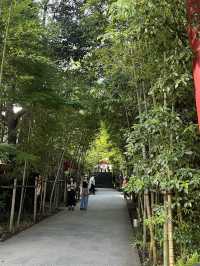 🌿【熱海・來宮神宮】樹齢2000年の御神木に会いに行く、癒しのパワースポット