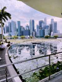 Lotus Pond