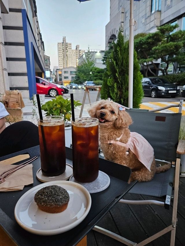 세컨드 브리즈 애견 동반 후기
