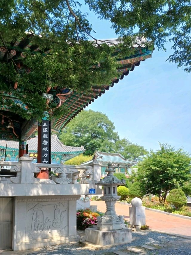 절벽 위 풍경과 함께하는 그림 같은 나들이