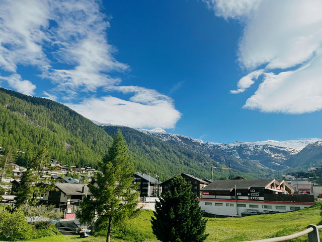Zermatt Blacknose Sheep – The Cutest Locals in the Alps