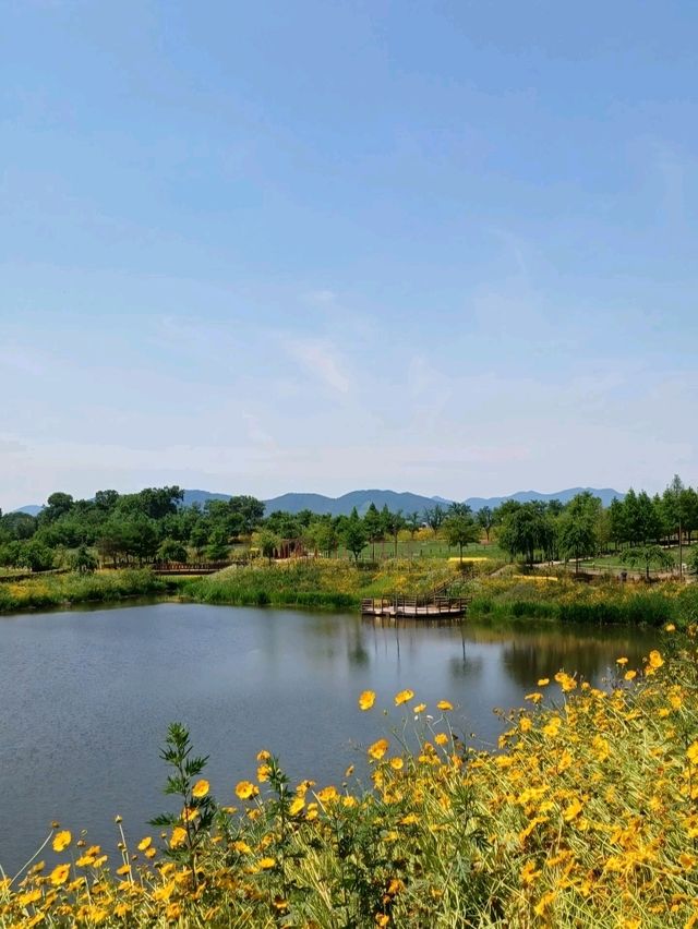 가족 나들이에 딱, 꽃길 가득 악양생태공원