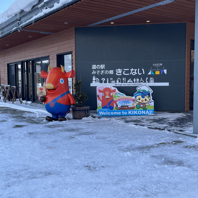 道南いさりび鉄道の旅