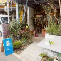 Pati coffee & plants