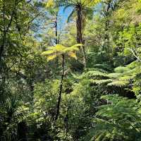 Abel Tasman National Park